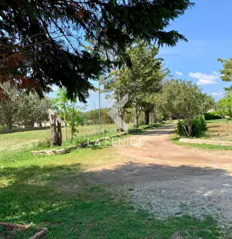 Foto annuncio 27