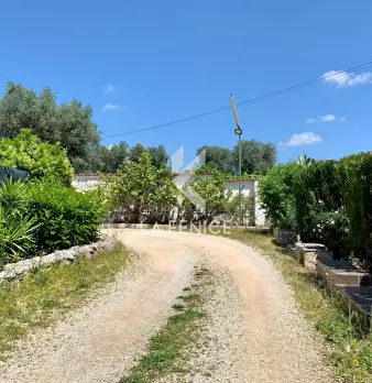 Foto annuncio 28