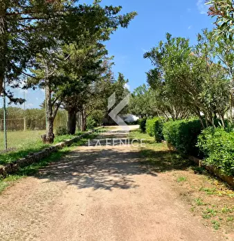 Foto annuncio 29