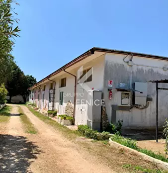 Foto annuncio 30
