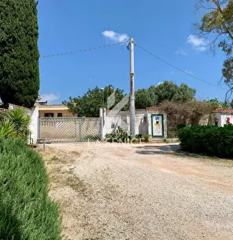 Foto annuncio 31