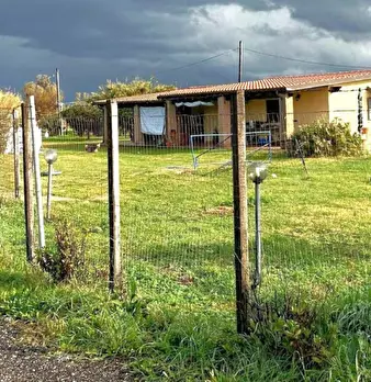 Foto annuncio 1