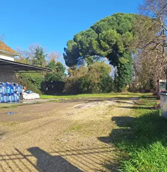 Foto annuncio 4