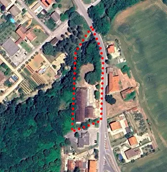 Foto annuncio 7