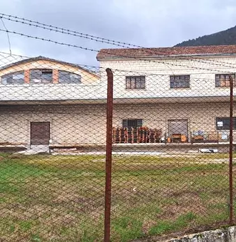 Foto annuncio 3