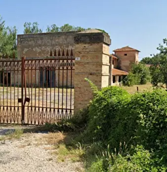 Foto annuncio 10
