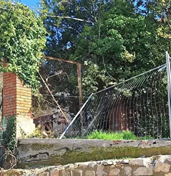 Foto annuncio 5