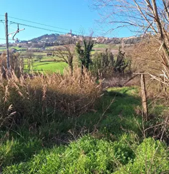 Foto annuncio 10