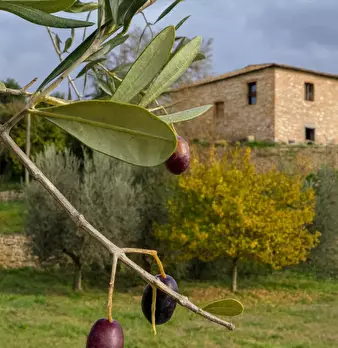Foto annuncio 1