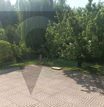 Foto annuncio 40