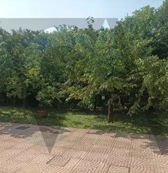 Foto annuncio 41