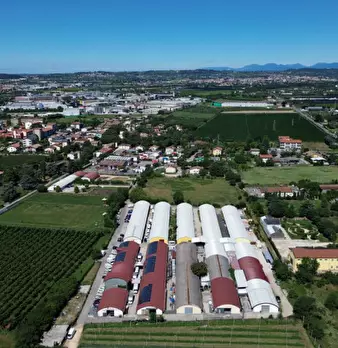 Foto annuncio 10