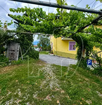 Foto annuncio 7