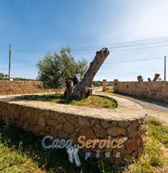 Foto annuncio 20