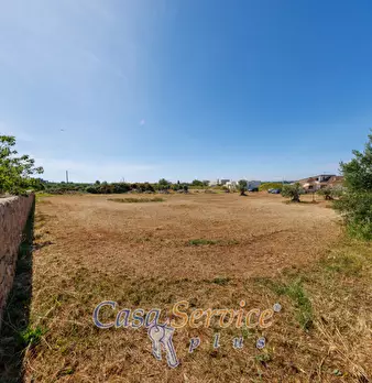 Foto annuncio 41
