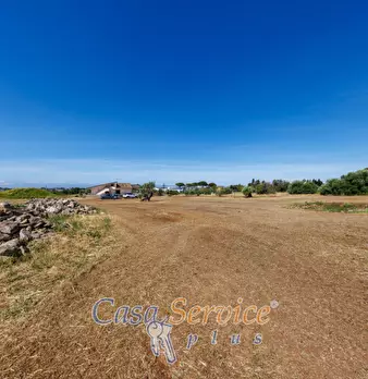 Foto annuncio 44