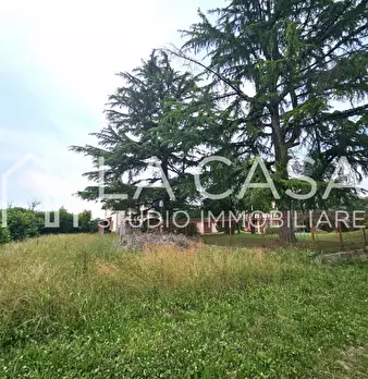 Foto annuncio 40