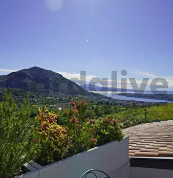 Foto annuncio 31