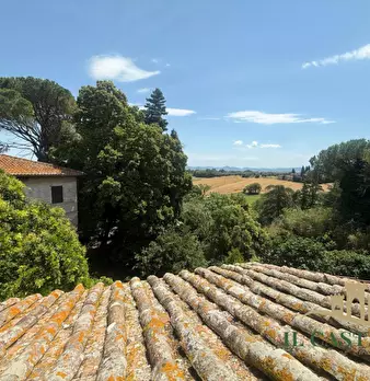 Foto annuncio 28