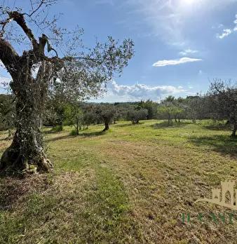 Foto annuncio 30