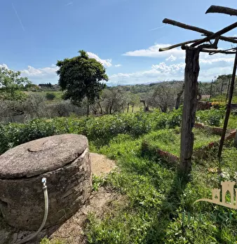 Foto annuncio 31