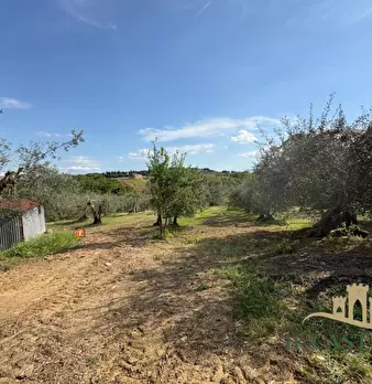 Foto annuncio 34