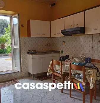 Foto annuncio 11