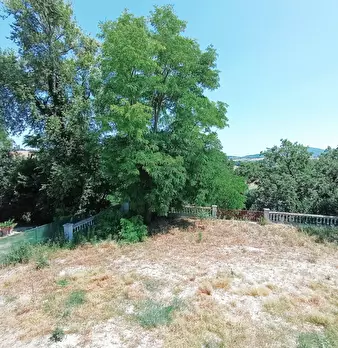 Foto annuncio 29