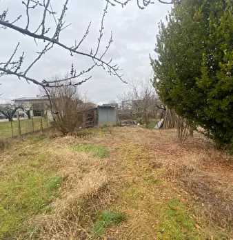 Foto annuncio 19