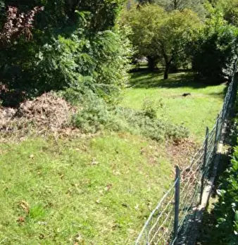 Foto annuncio 3