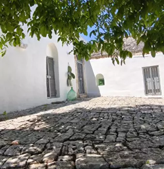 Foto annuncio 7