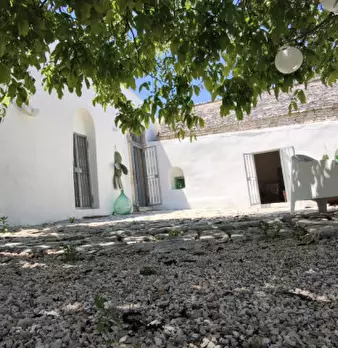 Foto annuncio 32