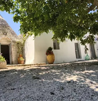Foto annuncio 33