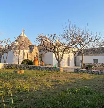 Foto annuncio 72