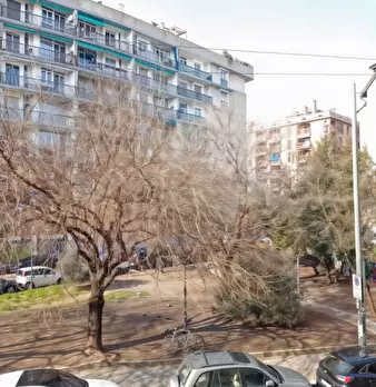 Foto annuncio 24