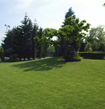 Foto annuncio 4