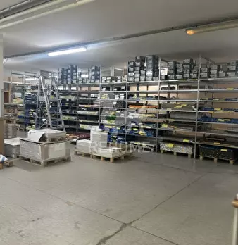 Foto annuncio 9