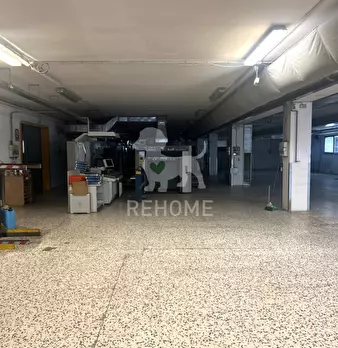 Foto annuncio 12