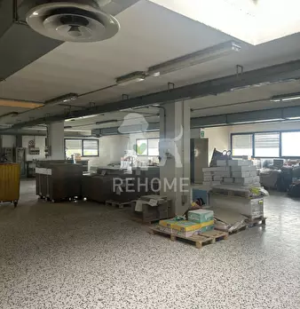 Foto annuncio 20