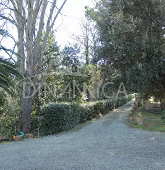 Foto annuncio 11