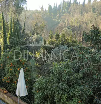 Foto annuncio 12