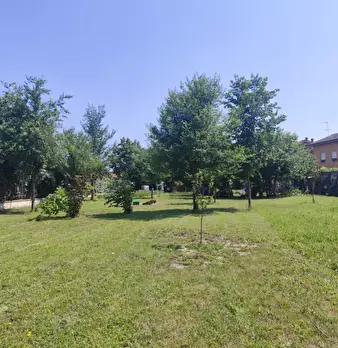 Foto annuncio 5