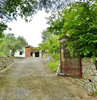 Foto annuncio 5