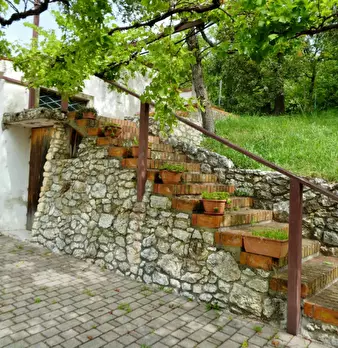 Foto annuncio 21