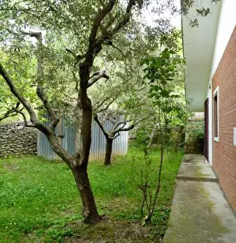 Foto annuncio 28