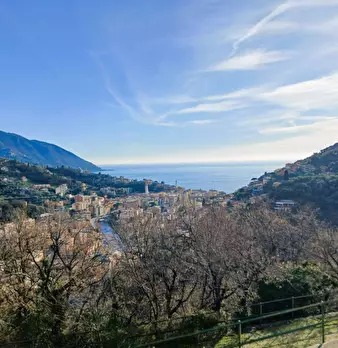 Foto annuncio 13