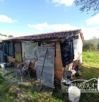 Foto annuncio 23