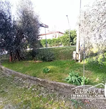 Foto annuncio 24