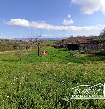 Foto annuncio 25