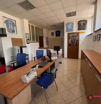 Foto annuncio 10